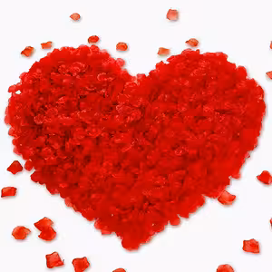 Petale Trandafiri Roșii Artificiale – 500 Bucăți pentru Decor Romantic, Nuntă și Valentine’s Day