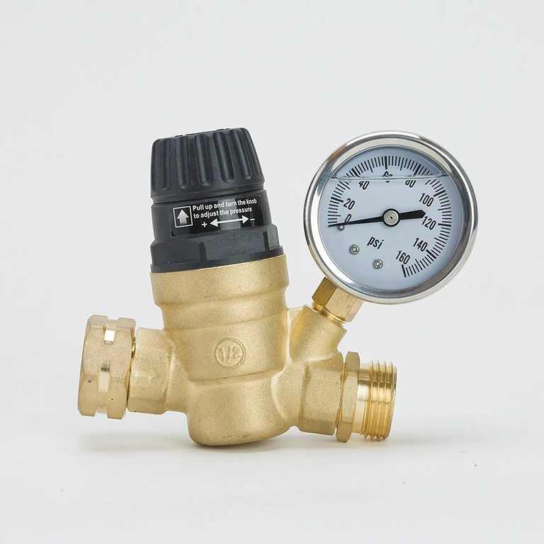 Regulator compatibil cu mai multe aplicații: hidrofor, boiler, pompă, rulotă